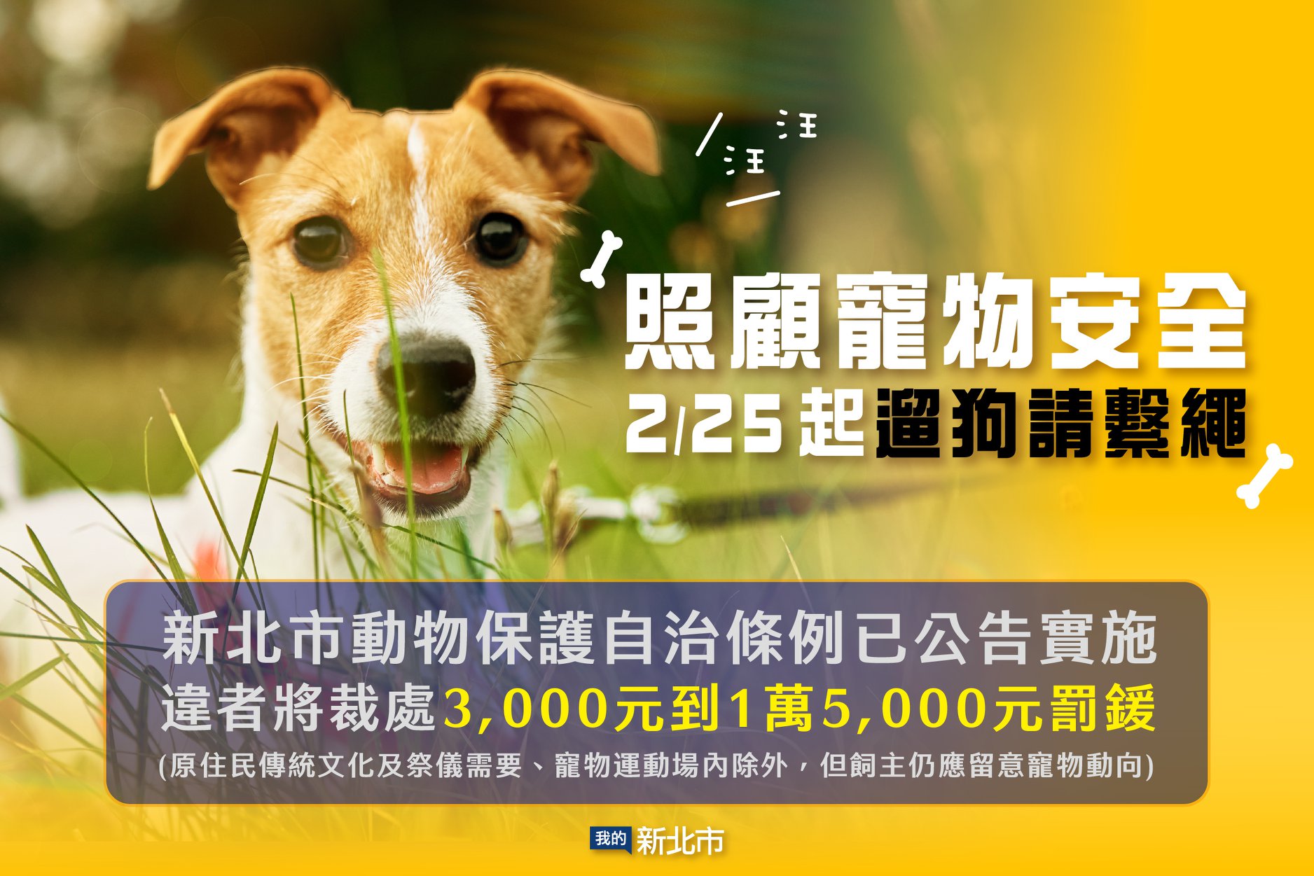 1110301動保處函-新北市政府的自治條例宣導圖